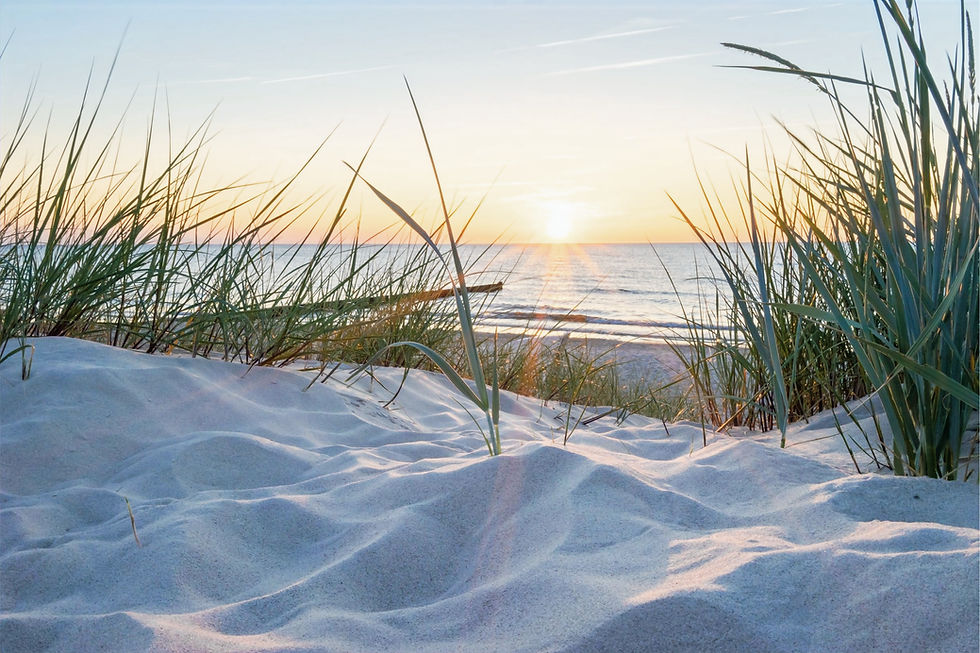 shutterstock_555762334 (2)strand_edited_edited_edited_edited.jpg