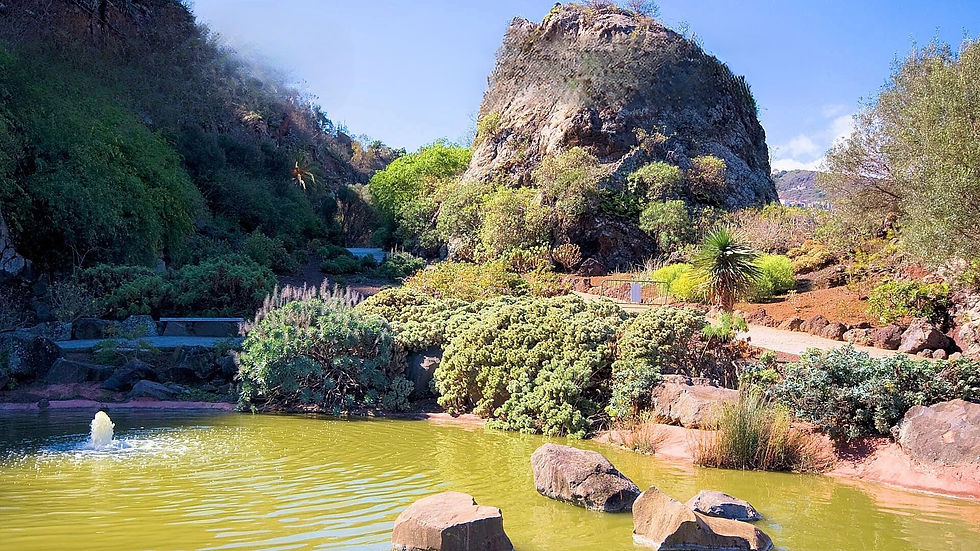 giardino botanico - las palmas del gran canaria