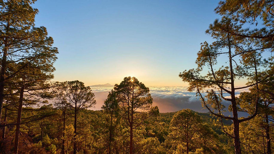 Parque-Natural-de-Tamadaba