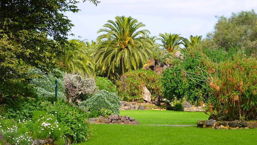 giardino botanico - Las Palmas del Gran Canaria