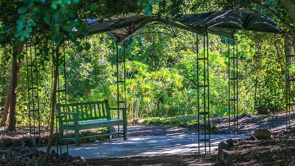 giardino botanico - Las Palmas del Gran Canaria
