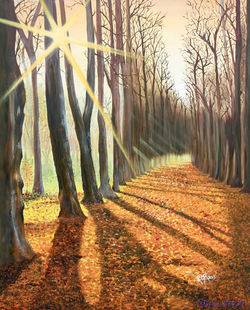 Forêt - Bruno Lamer - Pixhuil Armor