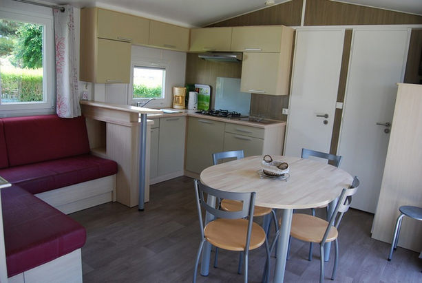 Flores taille (16).jpg