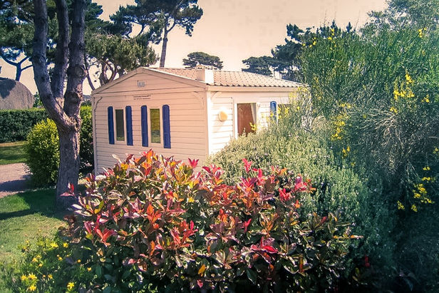 Bilzic-Taille (11).jpg