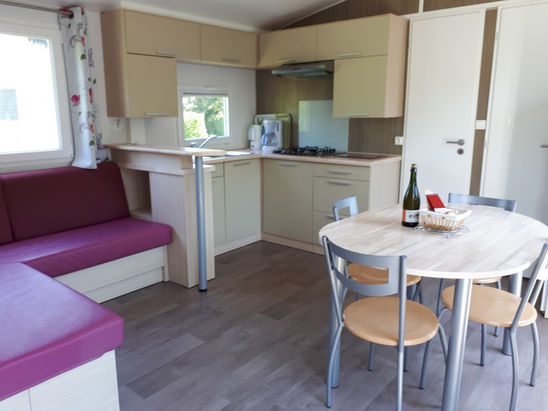 Flores taille (8).jpg