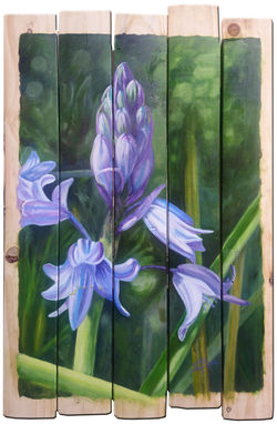 Jacinthe des bois - Bruno Lamer - Pixhuil Armor