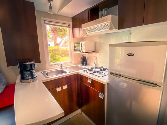 Eva--10 [100%Logo800PNG].jpg