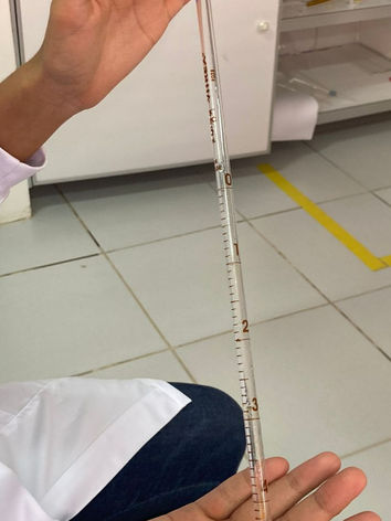 WhatsApp Image 2022-05-17 at 17.42_edited.jpg