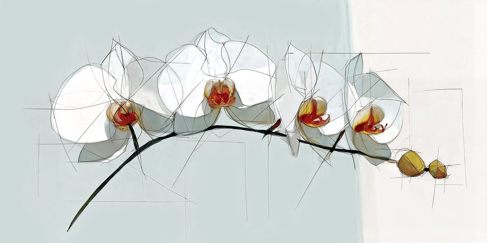 תמונה אמנותית של סחלב לבן בעיצוב קווי עדין ומודרני, מתוך קולקציית נעמי עיצובים. יצירה שמשלבת הרמוניה, אסתטיקה וקסם טבעי – מוש