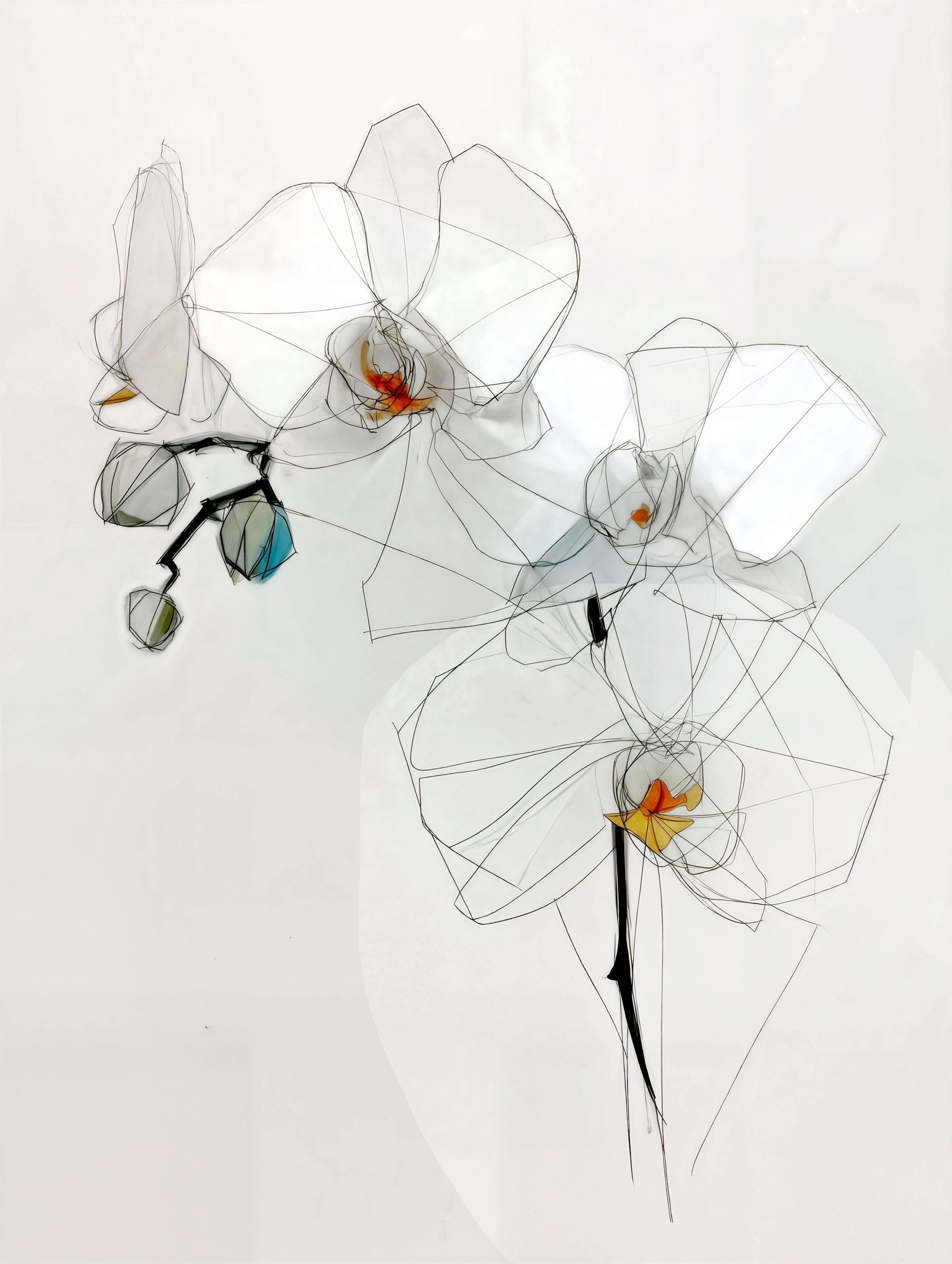 תמונה אמנותית של סחלב לבן בעיצוב קווי עדין ומודרני, מתוך קולקציית נעמי עיצובים.  יצירה שמשלבת הרמוניה, אסתטיקה וקסם טבעי – מו