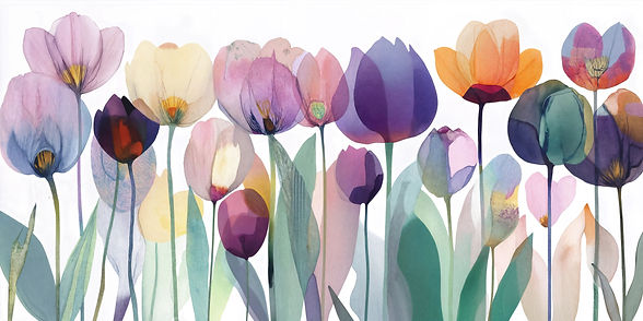 גן טוליפים.jpg