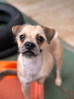 Imagem do WhatsApp de 2025-08-23 à(s) 21.18.19_4a896b2e