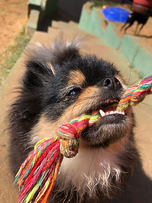 WhatsApp Image 2022-09-06 at 16.03.58.jpeg