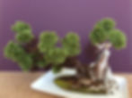 Liz Chester - needle felted bonsai tree