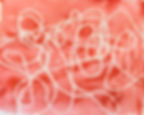 pxl-20220314-110311503