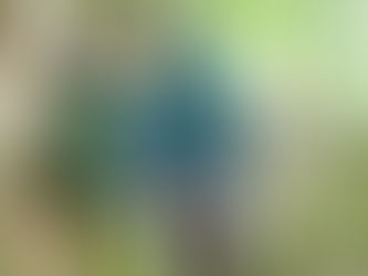 【登山を楽しむための体づくり|一宮市のパーソナルジム】