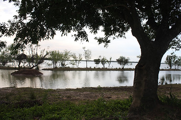 campo046.JPG
