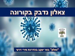 צאלון נדבק בקורונה