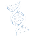 DNA.png