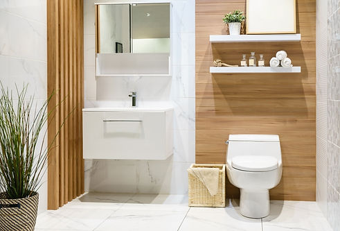 toliet & sink.jpeg