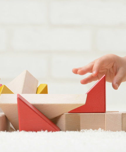 Baby Playing with Building Blocks