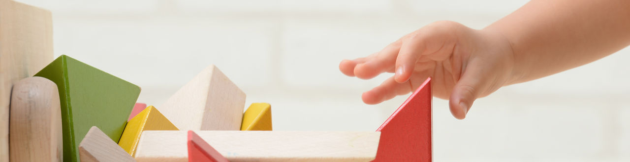 Bébé Jouer avec des blocs de construction
