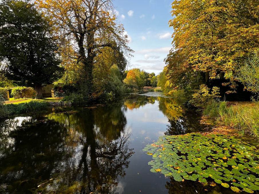 Lake surrounded by trees