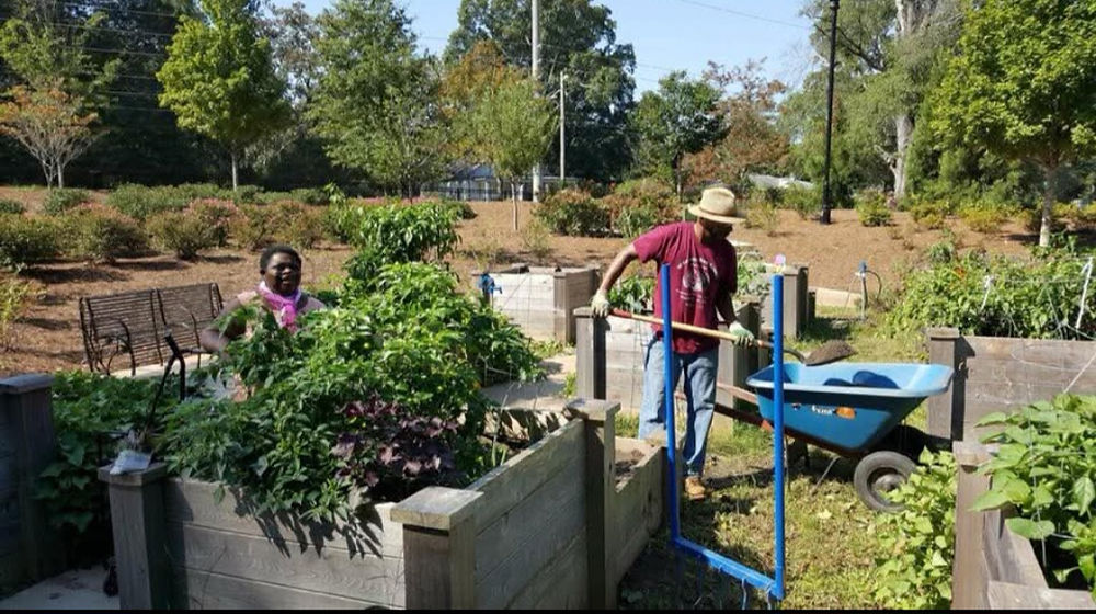Man and woman in a community garden with raised beds