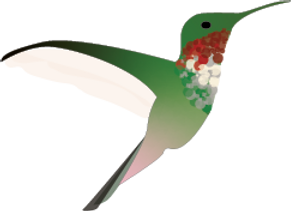 Hummingbird 2.png