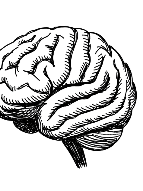 Clever, Curious Brain: Developing Curiosity in Children