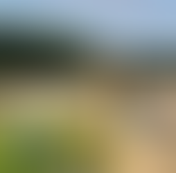 Louisiana Site for New Landfill Closure Project