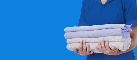 Maid-banner_edited.jpg
