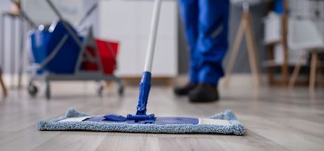 Floor Mop_edited.jpg