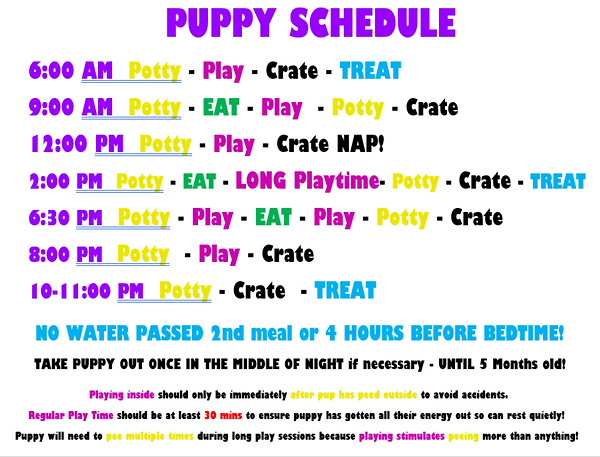 Puppies' Daily Schedule
