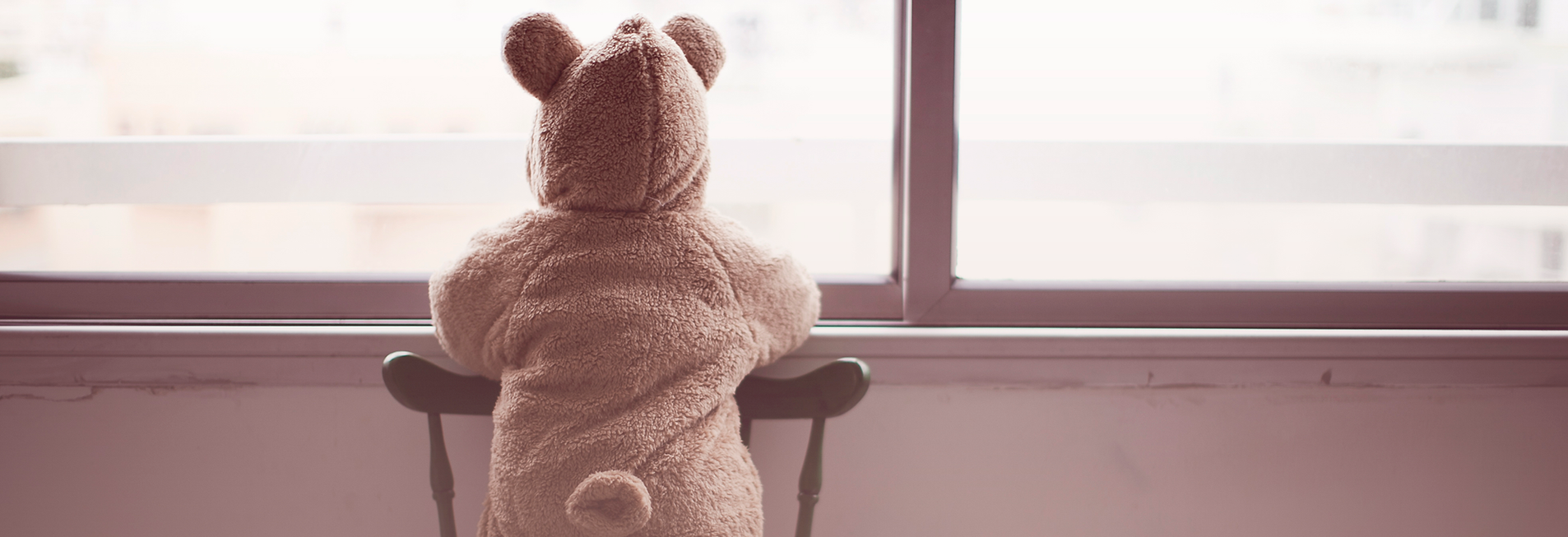 Teddy Bear Window