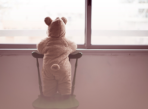 Fenêtre ours en peluche