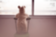 Teddy Bear Window