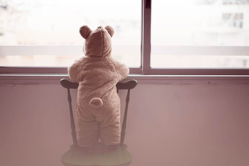 Teddy Bear Window