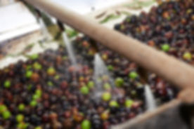 Olives