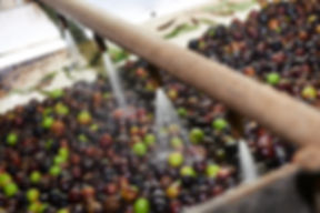 Olives