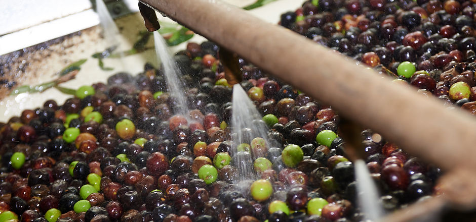 Olives
