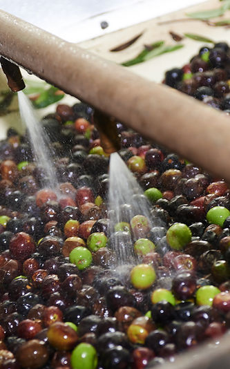 Olives