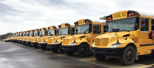 buses.webp
