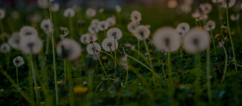 keegan-houser-6ArOP8cJoRI-unsplash_edite