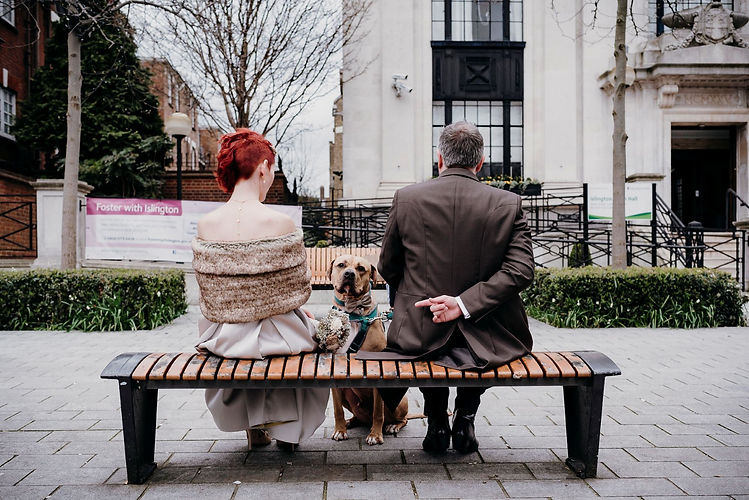 wedding-dog-FAQs-wedding-sandra-reddin-photography.jpg