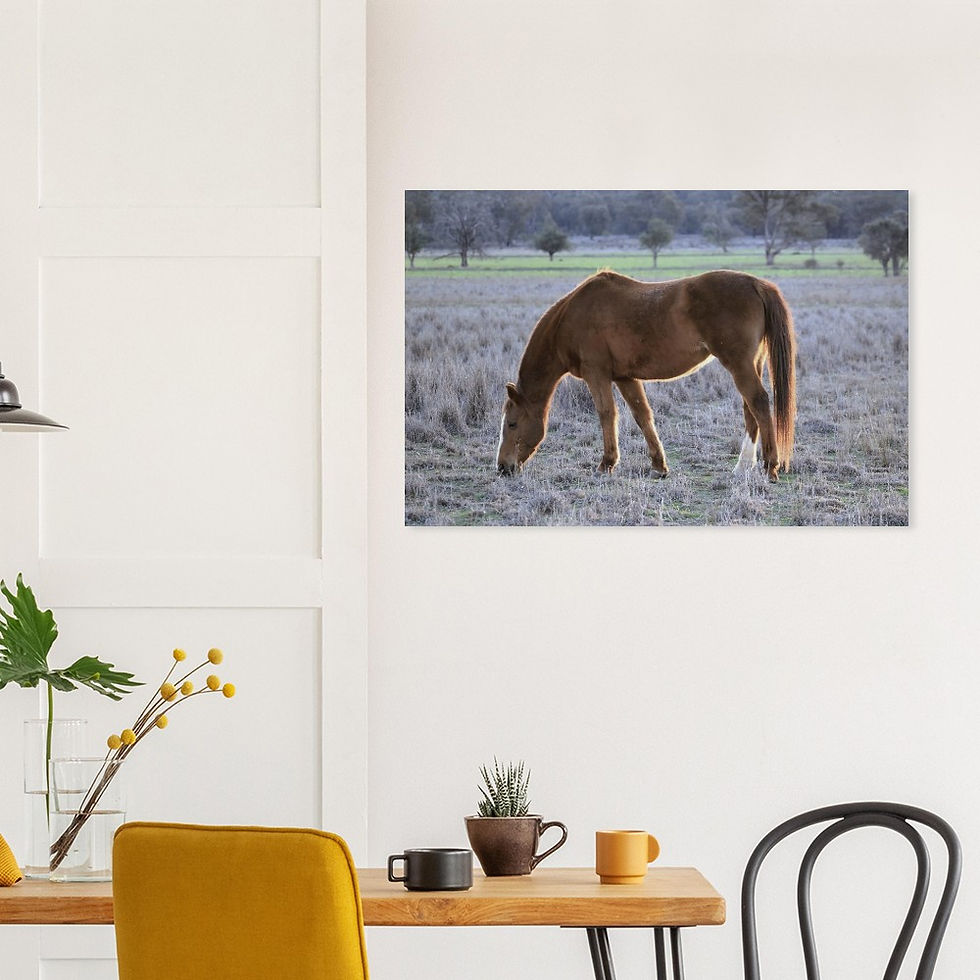 Thumbnail: "Maddy" Wood Print 50 x 75cm and 60 x 90cm
