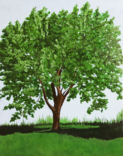 Riverside Drive Maple, Late Spring acrylic on canvas, 18_x24_.jpeg