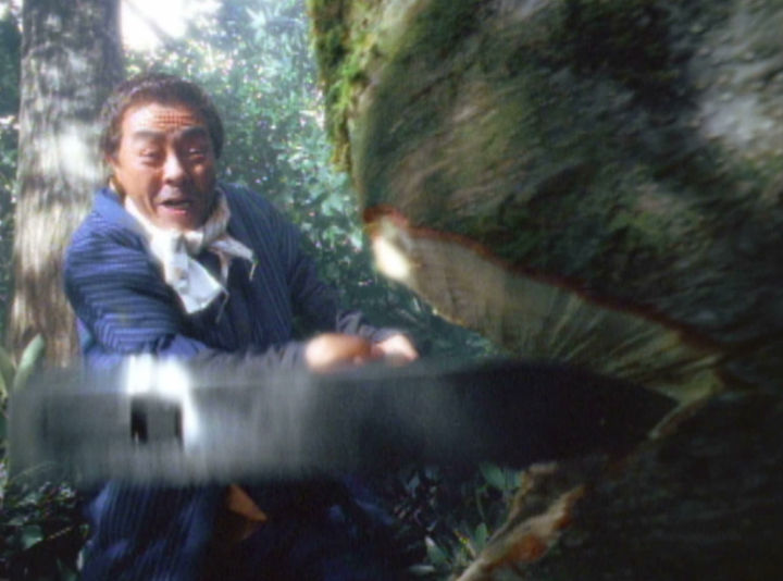 ネスカフェ　 サンタマルタ