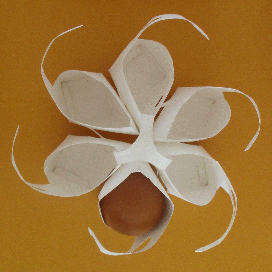 egg-circle.gif