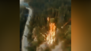 ¿CONTROLANDO O INCENDIANDO LOS BOSQUES?